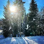Fuchs Saig * Lenzkirch