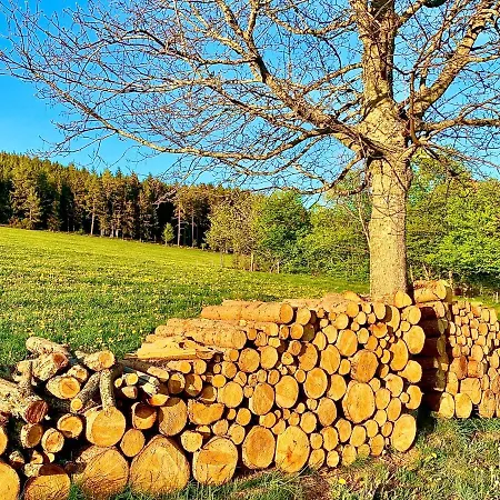 Apartamento Fuchs Saig