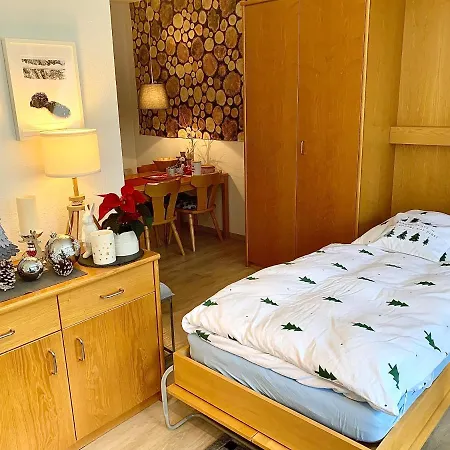 Apartment Fuchs Saig Lenzkirch