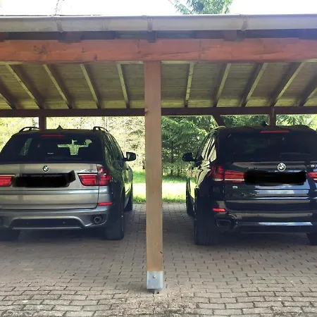 Fuchs Saig * Lenzkirch