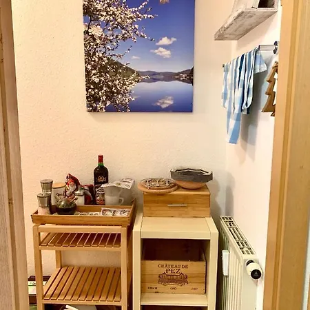 Fuchs Saig Apartment Lenzkirch