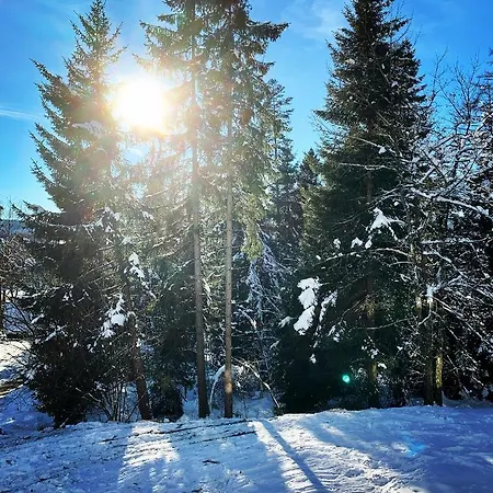 Fuchs Saig * Lenzkirch