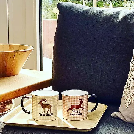 Fuchs Saig Apartment