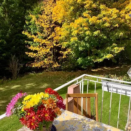 Fuchs Saig Apartamento