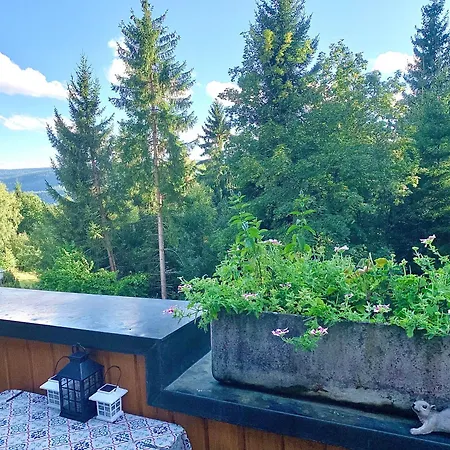 Fuchs Saig * Lenzkirch