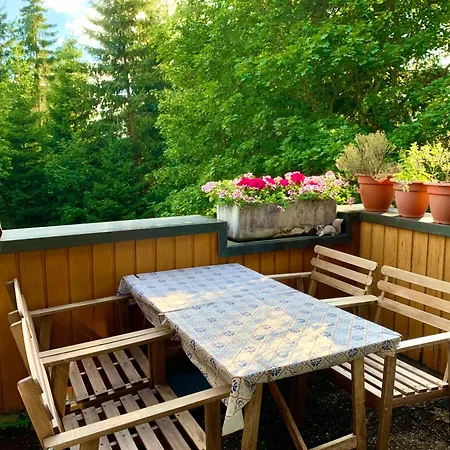 Fuchs Saig Apartment Lenzkirch