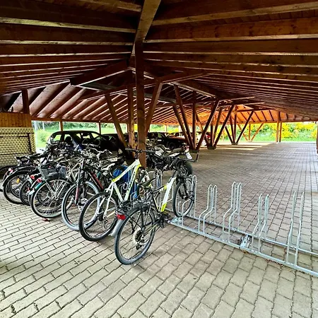 Fuchs Saig * Lenzkirch